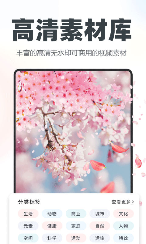 截图5